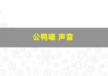 公鸭嗓 声音