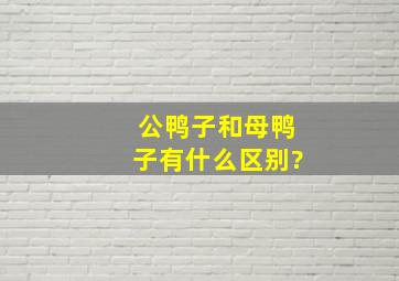 公鸭子和母鸭子有什么区别?