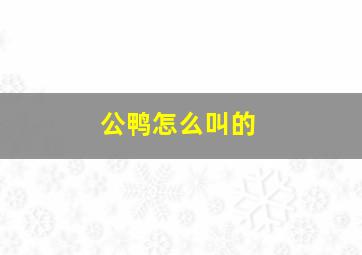 公鸭怎么叫的