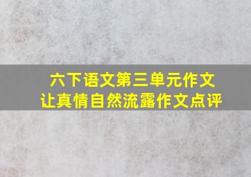 六下语文第三单元作文让真情自然流露作文点评