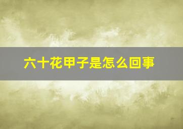 六十花甲子是怎么回事