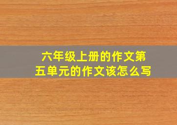 六年级上册的作文第五单元的作文该怎么写