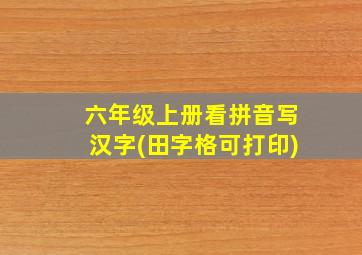 六年级上册看拼音写汉字(田字格可打印)