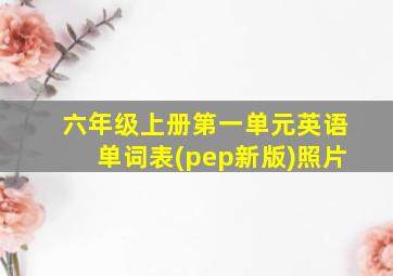 六年级上册第一单元英语单词表(pep新版)照片