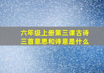 六年级上册第三课古诗三首意思和诗意是什么