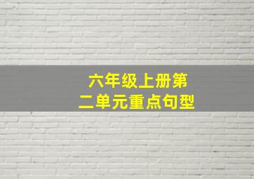 六年级上册第二单元重点句型