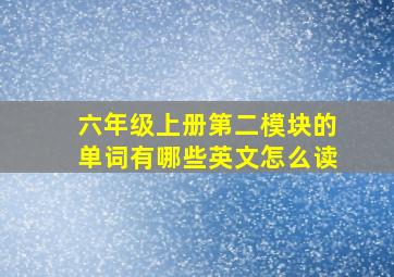 六年级上册第二模块的单词有哪些英文怎么读