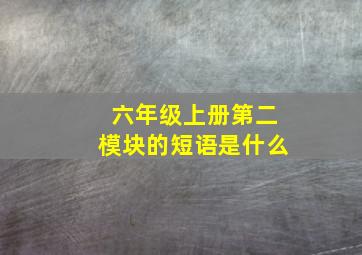 六年级上册第二模块的短语是什么