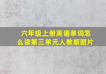 六年级上册英语单词怎么读第三单元人教版图片