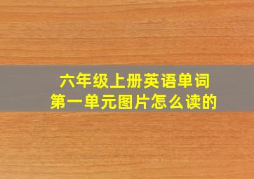 六年级上册英语单词第一单元图片怎么读的