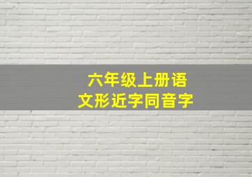 六年级上册语文形近字同音字