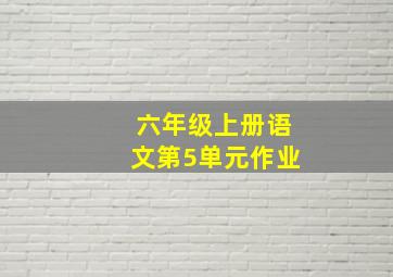 六年级上册语文第5单元作业