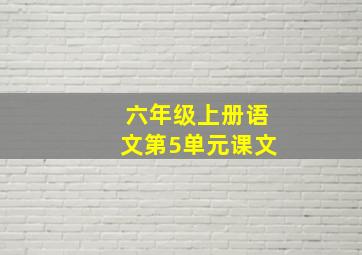 六年级上册语文第5单元课文