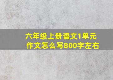 六年级上册语文1单元作文怎么写800字左右