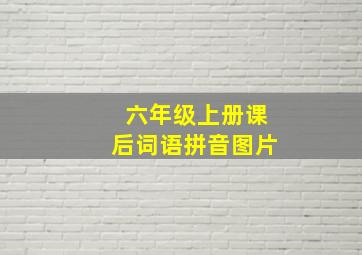 六年级上册课后词语拼音图片