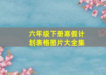 六年级下册寒假计划表格图片大全集