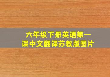 六年级下册英语第一课中文翻译苏教版图片