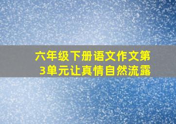 六年级下册语文作文第3单元让真情自然流露