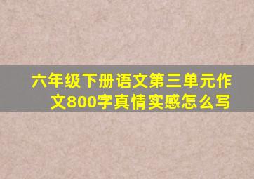 六年级下册语文第三单元作文800字真情实感怎么写