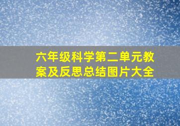 六年级科学第二单元教案及反思总结图片大全