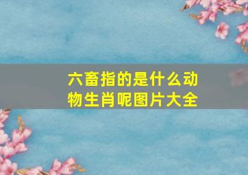 六畜指的是什么动物生肖呢图片大全