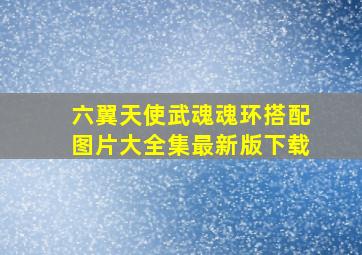 六翼天使武魂魂环搭配图片大全集最新版下载