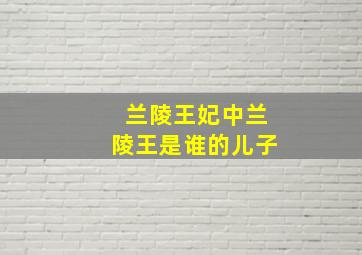 兰陵王妃中兰陵王是谁的儿子