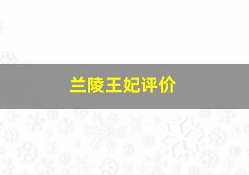 兰陵王妃评价