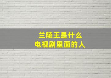 兰陵王是什么电视剧里面的人