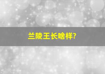 兰陵王长啥样?