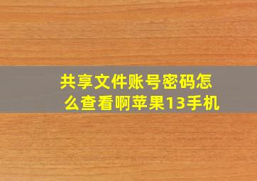 共享文件账号密码怎么查看啊苹果13手机