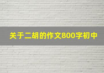 关于二胡的作文800字初中