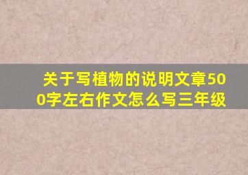 关于写植物的说明文章500字左右作文怎么写三年级