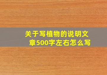 关于写植物的说明文章500字左右怎么写