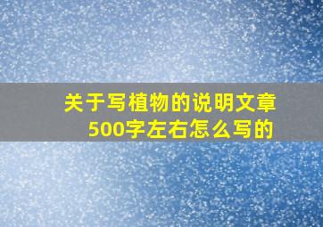 关于写植物的说明文章500字左右怎么写的