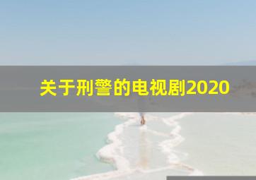 关于刑警的电视剧2020