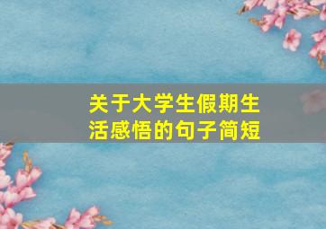 关于大学生假期生活感悟的句子简短