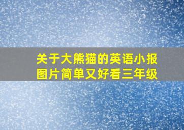 关于大熊猫的英语小报图片简单又好看三年级