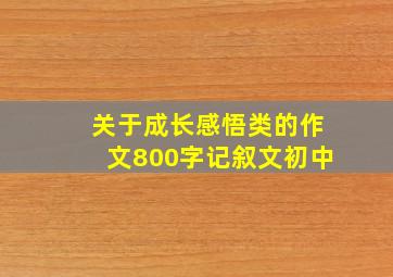 关于成长感悟类的作文800字记叙文初中