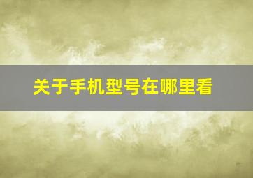 关于手机型号在哪里看