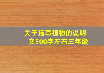 关于描写植物的说明文500字左右三年级