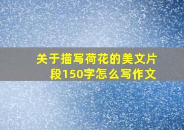 关于描写荷花的美文片段150字怎么写作文