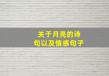 关于月亮的诗句以及情感句子