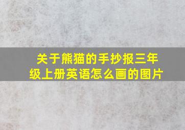 关于熊猫的手抄报三年级上册英语怎么画的图片