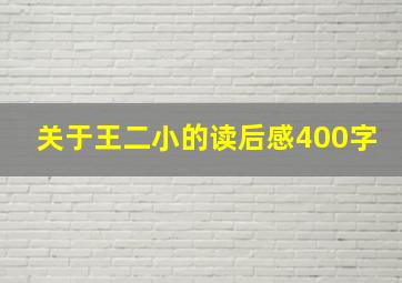 关于王二小的读后感400字