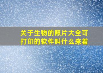 关于生物的照片大全可打印的软件叫什么来着