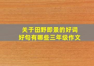 关于田野即景的好词好句有哪些三年级作文