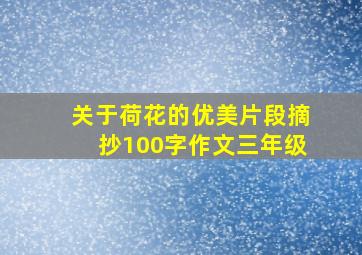 关于荷花的优美片段摘抄100字作文三年级