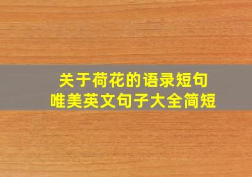 关于荷花的语录短句唯美英文句子大全简短