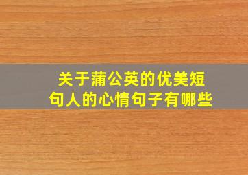 关于蒲公英的优美短句人的心情句子有哪些